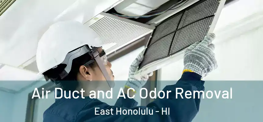 Air Duct and AC Odor Removal East Honolulu - HI