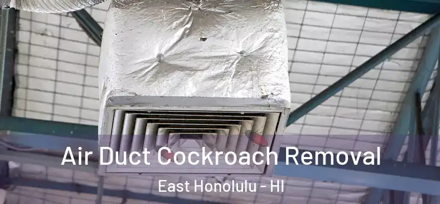  Air Duct Cockroach Removal East Honolulu - HI