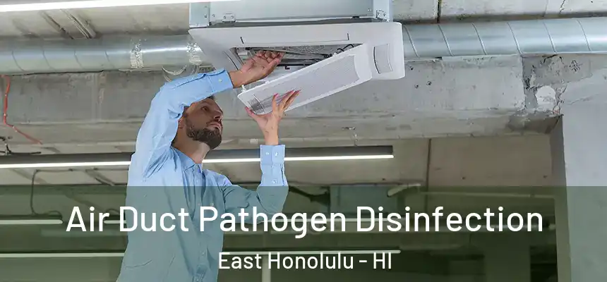 Air Duct Pathogen Disinfection East Honolulu - HI