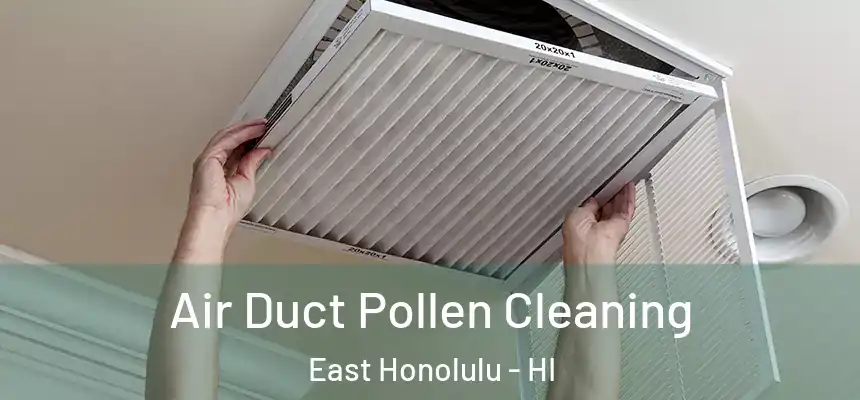  Air Duct Pollen Cleaning East Honolulu - HI