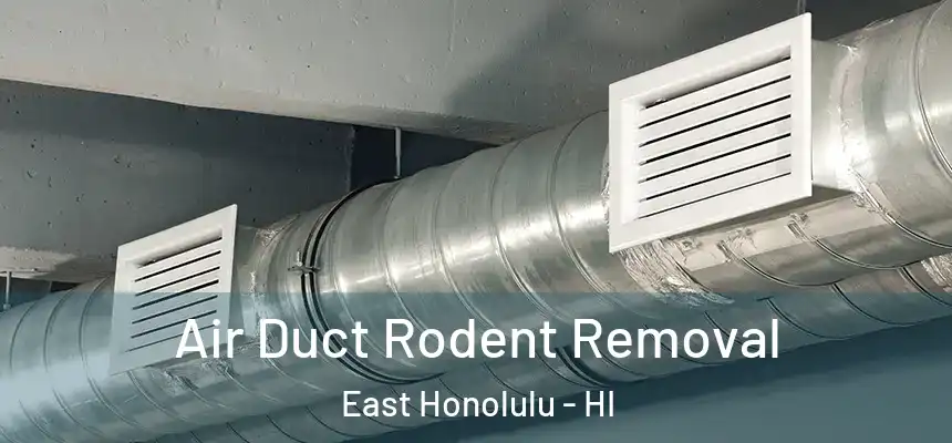 Air Duct Rodent Removal East Honolulu - HI