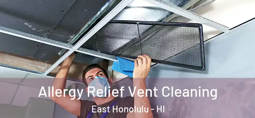 Allergy Relief Vent Cleaning East Honolulu - HI