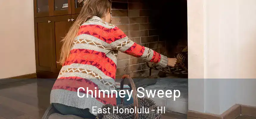 Chimney Sweep East Honolulu - HI