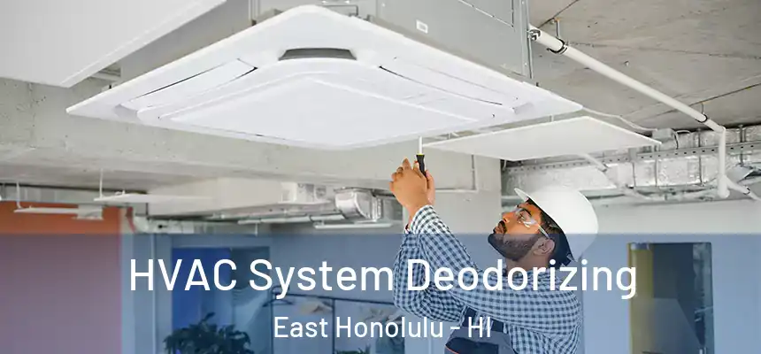 HVAC System Deodorizing East Honolulu - HI