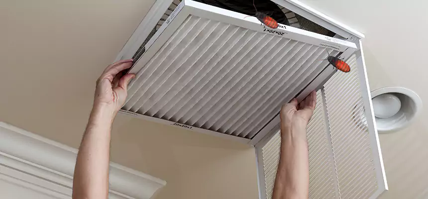 Preventive Cockroach-Proofing for Ducts in East Honolulu