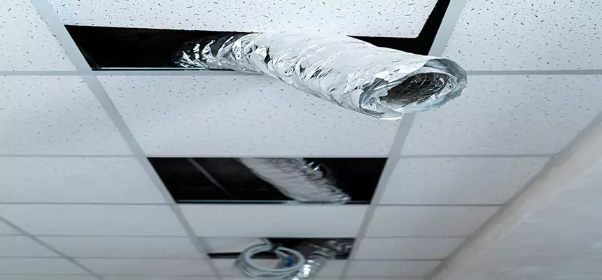 Affordable HVAC Sanitizing After Pest Removal in East Honolulu