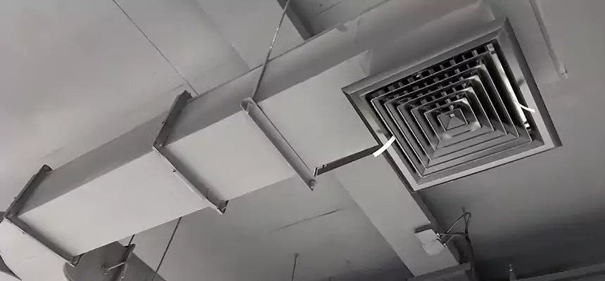 Restorative Allergy Relief Vent Cleaning – Coil, Blower & Housing Detail in East Honolulu