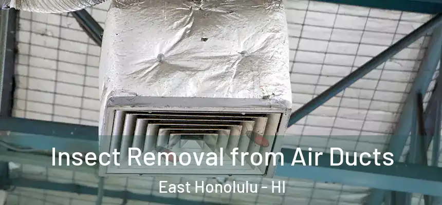 Insect Removal from Air Ducts East Honolulu - HI