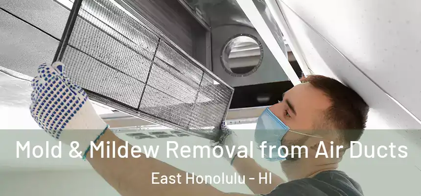 Mold & Mildew Removal from Air Ducts East Honolulu - HI