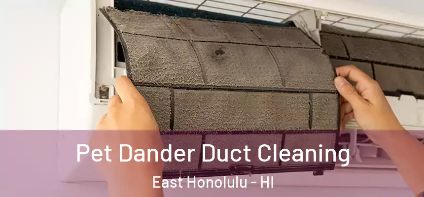  Pet Dander Duct Cleaning East Honolulu - HI