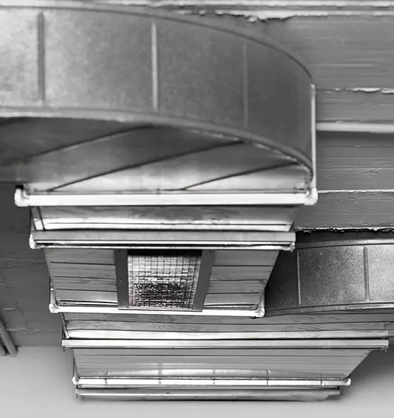 Professional Air Duct Pest Removal in East Honolulu, HI