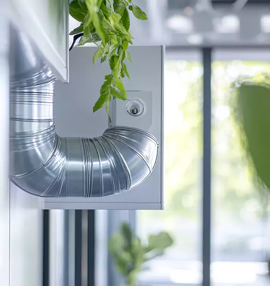 Professional Eco-Safe Dryer Vent Cleaning in East Honolulu, HI