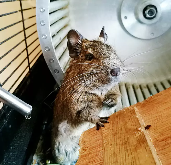 Why Homeowners & Businesses Trust Us East Honolulu, HI