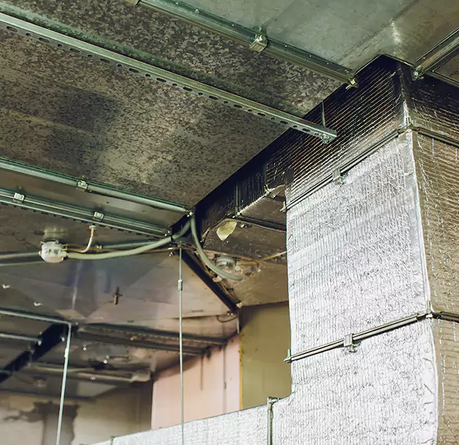 Why Homeowners & Businesses Trust Us in East Honolulu, HI?