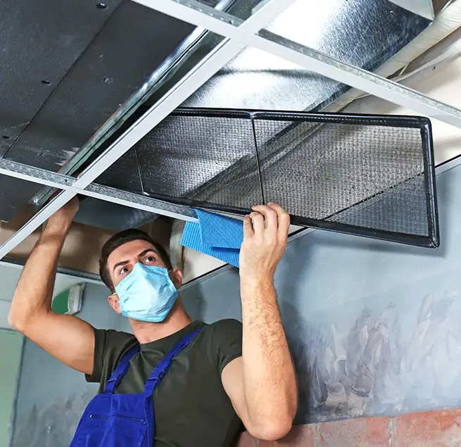 Why Homeowners & Businesses Trust Us in East Honolulu, HI?