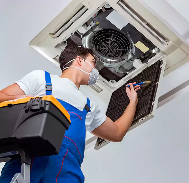 Why Homeowners & Businesses Trust Us in East Honolulu, HI?